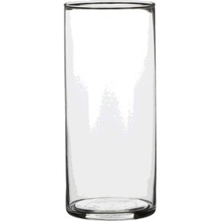 1x Ronde glazen cilinder vaas/vazen transparant 19 cm lang - Vazen