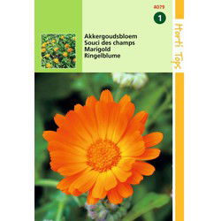 2 stuks - 
