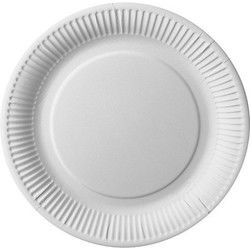 50x kartonnen dinerborden 26 cm - Dinerborden