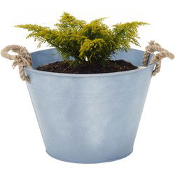 Mega Collections plantenpot/bloempot Old Rope - zink - zilver - D31 X H21 cm - IJzeren emmer / teil