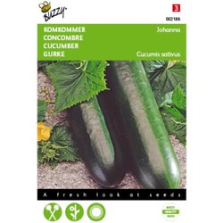 2 stuks - Komkommers Giganta