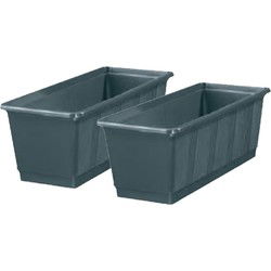 Geli Plantenbak/bloembak - 2x - grijs - rechthoekig - 60 cm - Plantenbakken