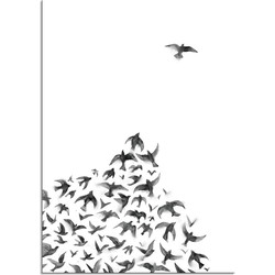 Zwerm vogels poster - Zwart wit poster - Hoek  - A2 + Fotolijst zwart