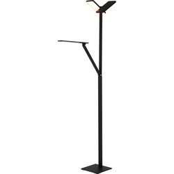 Steinhauer vloerlamp Serenade led - zwart - metaal - 3121ZW