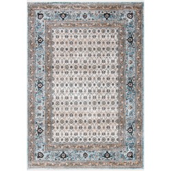 Safavieh Eigentijds Geweven Binnen Vloerkleed, Shivan Collectie, SHV722, in Grijs & Blauw, 122 X 183 cm