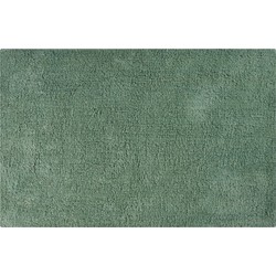 MSV Badkamerkleedje/badmat tapijt voor de vloer - groen - 40 x 60 cm - Badmatjes