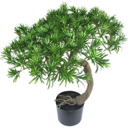 Kunst Bonsaiboom Pine 55 cm | NeverLeafs