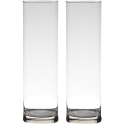 Set van 2x stuks glazen bloemen cylinder vaas/vazen 30 x 9 cm transparant - Vazen