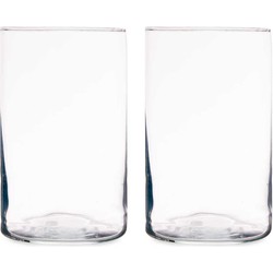 Bloemenvazen 2x stuks - cilinder vorm - transparant glas - 12 x 20 cm - Vazen