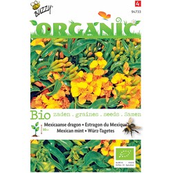 5 stuks - Organic Tagetes lucida Tuinplus - Buzzy