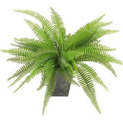 Kunstplant - 1x - varen - groen - 33 cm - kunst kamerplant - Kunstplanten