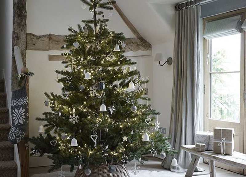 Get your Christmas tree!