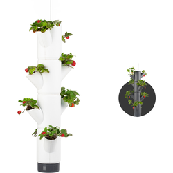 Gusta Garden - Sissy Strawberry - Aardbeien Planten - Aardbeienzak - Kweekbak - Kweektafel - Plantentoren met 4 Levels - Hangend Wit