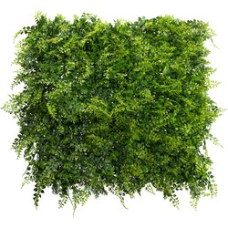 Kopu® kunstplant UV Bestendig Wandpaneel Planten mat 50x50x7 cm Varens