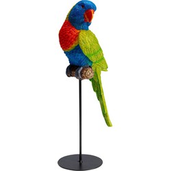 Kare Decofiguur Parrot Green