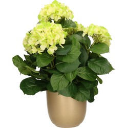 Hortensia kunstplant/kunstbloemen 45 cm - groen - in pot goud - Kunstplanten