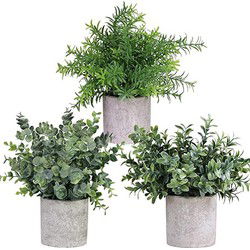 GreenDream® Kunstplanten - Kleine kunstplanten - Kamerplanten - 3 stuks - Kunstplanten 20cm