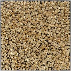 Kare Deco Frame Gold Flower 120x120