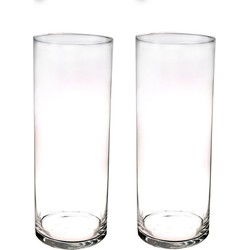 Bellatio flowers & plants glazen cilinder bloemenvaas - Set van 2x stuks - 40 x 15 cm - Vazen