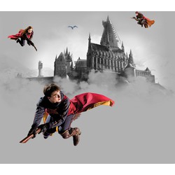 Sanders & Sanders fotobehang Harry Potter Zweintstein grijs en rood - 3 x 2,7 m - 601188