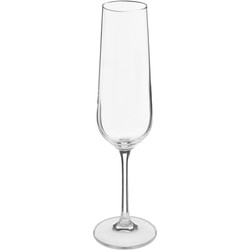 Secret de Gourmet Champagneglazen Lena - doosje 6x - 20 CL - Champagneglazen