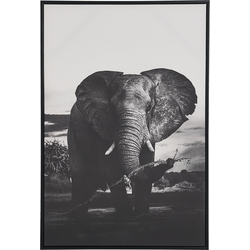 NIBBIA - Canvas - Lichtgrijs - Polyester