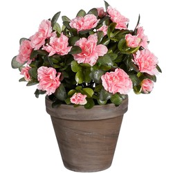 Mica Decorations Azalea Kunstplant in Bloempot Stan - H31 x Ø26 cm - Perzik