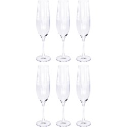 6x Champagne glazen/flutes 26 cl/260 ml van kristalglas - Champagneglazen