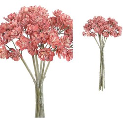 PTMD Succulent Plant Vetkruid Bos Kunsttak - 12 x 16 x 27 cm - Roze