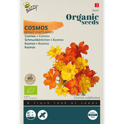 Seeds cosmos bright lights mix 0.5 gram