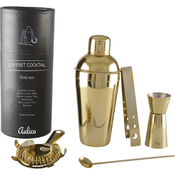 Luxurious Goud Cocktail Mixer Set