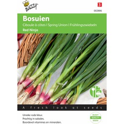 5 stuks - Bosuien rood