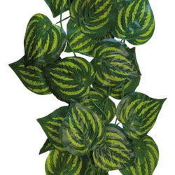 Repto Aquadistri plant green leaves 230 cm