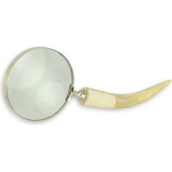 A MAGNIFYING-GLASS