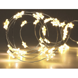 Silver Wire Star 40Led Warm Wh