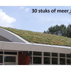 Minimaal 30 stuks! Sedummixmat Compleet (incl. drainage type 11c & daktuinsubstraat) per 1.2 m2 max. 25 graden
