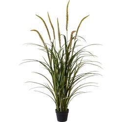 Kopu® Kunstplant Miscanthus 135 cm - 7 pluimen - in zwarte pot