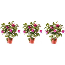 3x Roze fuchsia kunstplant in pot 30 cm voor binnen - Kunstplanten