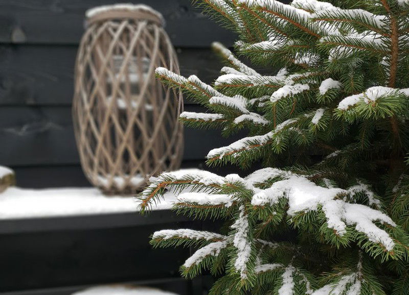Zo maak je jouw tuin ook in de winter gezellig