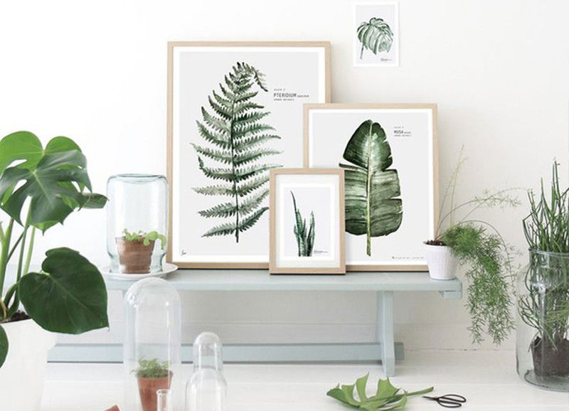 Trend: Botanisch wonen