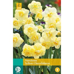 5 stuks - Narcissus Yellow Cheerfulness 4 bollen