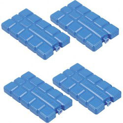Fresh en Cold Koelelement - klein - 4-pack - blauw - voor koelbox - vriezer