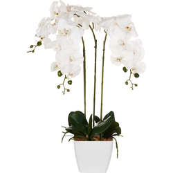 Beliani ORCHID - Kunstplant-Groen-Synthetisch materiaal