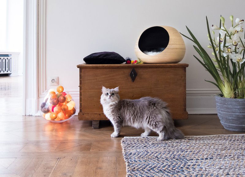 30x stylish honden- & kattenaccessoires