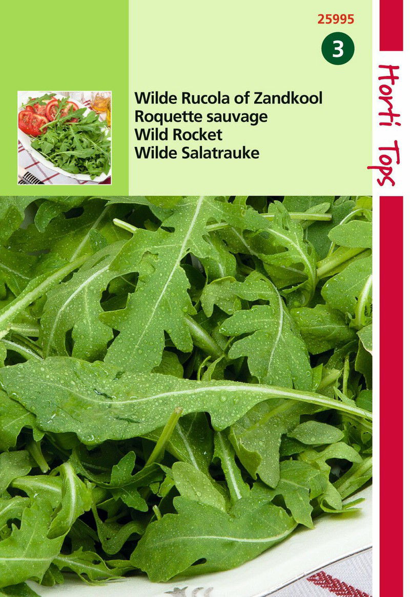 2 stuks - Rucola Wilde Selvatica Diplotaxis Erucoides - 