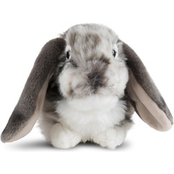 Living Nature Living Nature knuffel Dutch Lop Eared Rabbit Grey 30cm