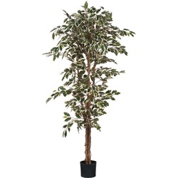 Mica Decorations Ficus Kunstplant - H180 x Ø90 cm - Groen Bont