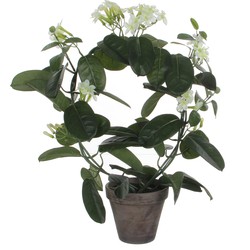 Mica Decorations Stephanotis Kunstplant in Bloempot Stan - H50 x Ø40 cm - Wit