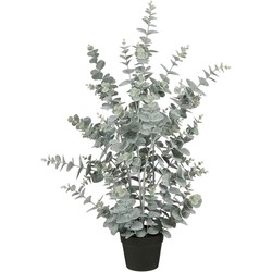 Mica Decorations Kunstplant Eucalyptus - 38x38x97 cm - Polyethyleen - Groen