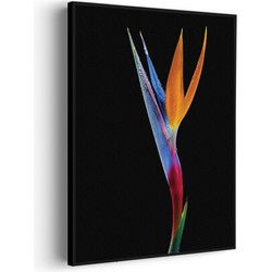 Muurwerken Akoestisch Schilderij - Tropische Strelitzia - Geluidsdempend Wandpaneel - Wanddecoratie - Geluidsisolatie - PRO (AW 0.90) L (72X100)